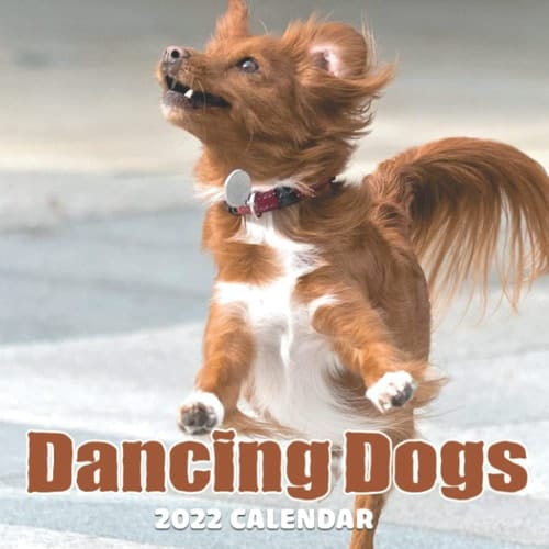 Dancing Dogs Calendar 2022: January 2022 - December 2022 OFFICIAL Squared Monthly Calendar, 12 Months | BONUS 4 Months 2022
