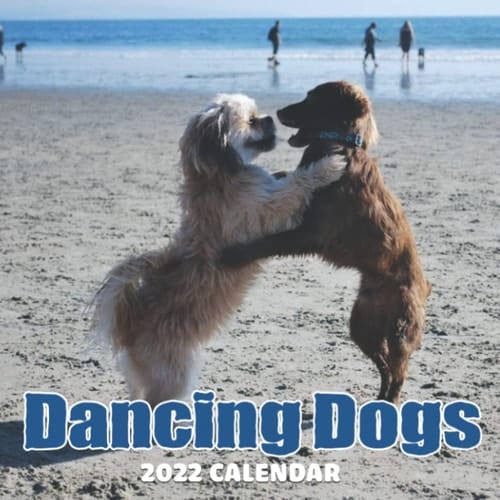 Dancing Dogs Calendar 2022 January 2022 - December 2022 OFFICIAL Squared Monthly Calendar, 12 Months | BONUS 4 Months 2022