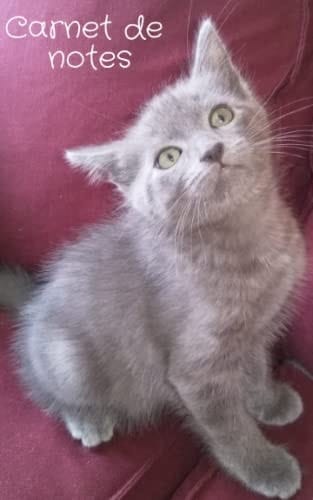 Carnet de notes - chat - 100 pages blanches - 12,7 x 20,3 cm - idée cadeau pour amoureux des chats (French Edition)