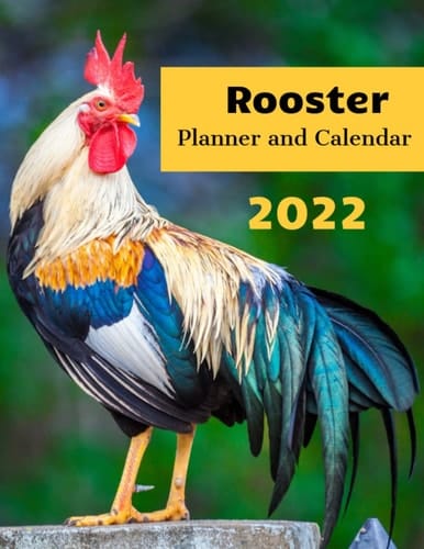 Rooster Planner and Calendar: Farm Animals Monthly Planner and Calendar with Rooster in the Cover - Gag Gift for Gag Secret Santa Gift for Coworkers, Boyfriend, Friend, Daddy
