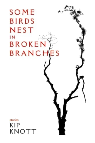 Some Birds Nest in Broken Branches