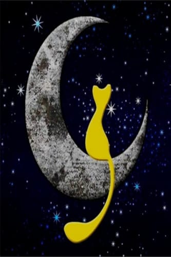 Galaxy Cat and Moon Notebook: Lined Journal