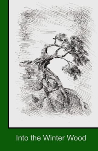 Into the Winter Wood