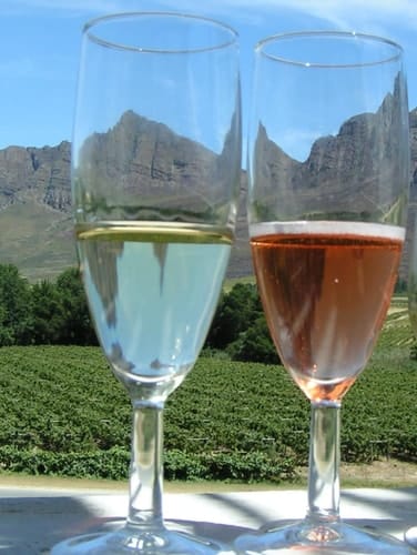 Verso vida y vino (Poemas) (Spanish Edition)