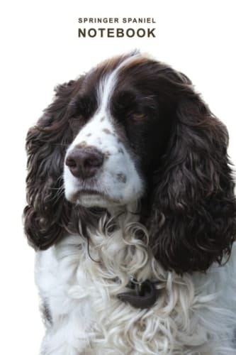 Springer Spaniel Notebook: Dog Notebook, Adorable Journal for Dog Lovers, ideal Composition Book Gift for Back to School or University.