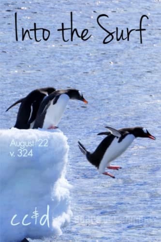 Into the Surf: 8/22 cc&d, v324