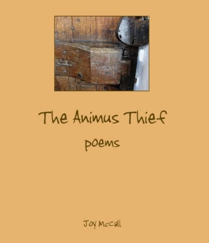 The Animus Thief