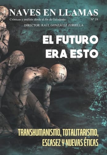 Revista Naves en Llamas Nº 19: Crónicas y análisis desde el fin de Occidente (Spanish Edition)