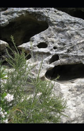 Cave Adventure