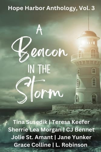 A Beacon in the Storm: Hope Harbor Vol. 3