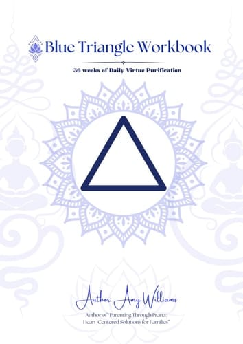 Blue Triangle Workbook