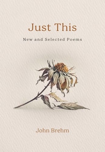 Just This New and Selected Poems