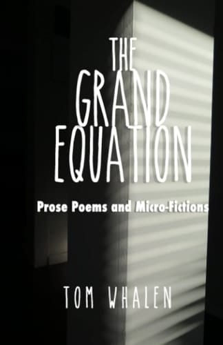 The Grand Equation Prose Poems and Micro-Fictions