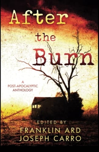 After the Burn