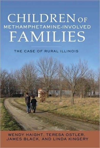 Children of methamphetamine-involved families