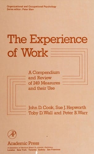 The Experience of work