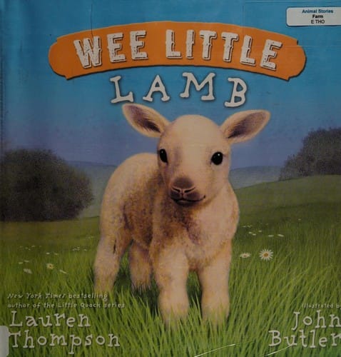 Wee little lamb