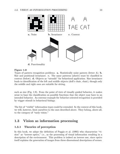 Computational Vision