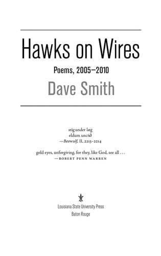 Hawks on wires