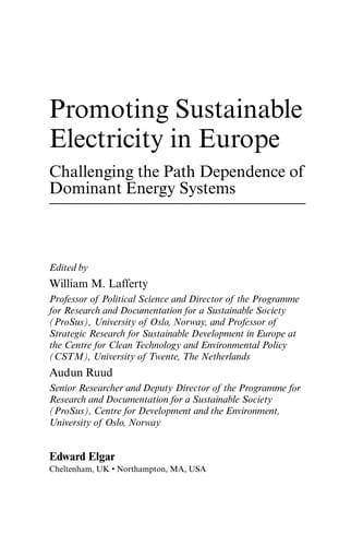 Promoting sustainable electricity in Europe