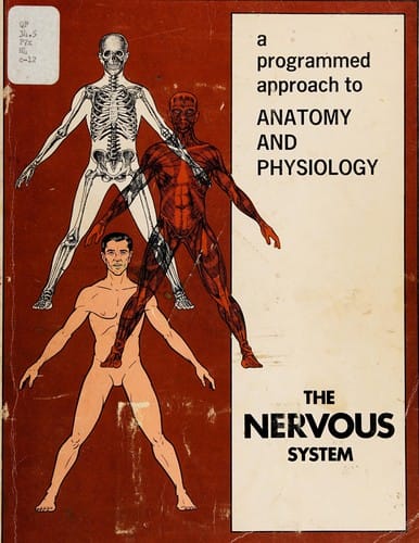 The nervous system