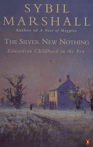 The silver new nothing