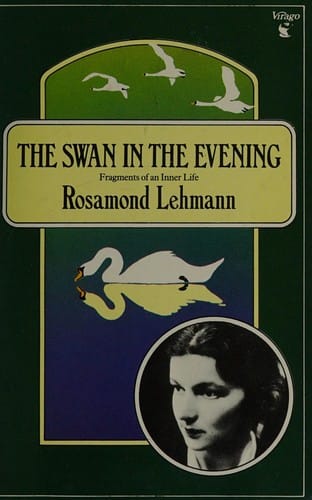 The swan in the evening