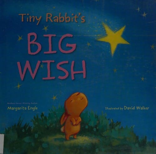 Tiny rabbit's big wish