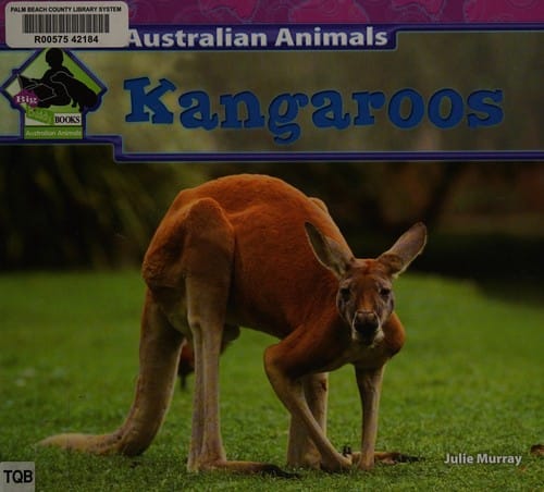 Kangaroos