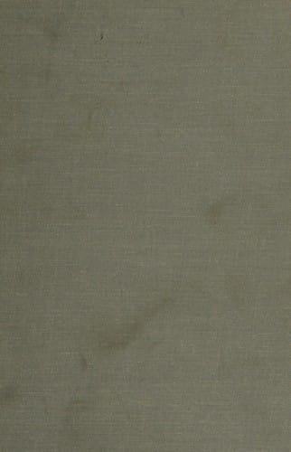 Large corporations in a changing society