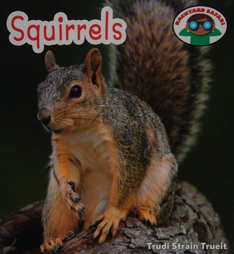 Squirrels