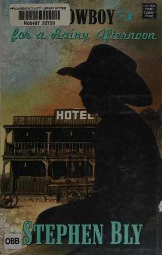 Cowboy for a rainy afternoon