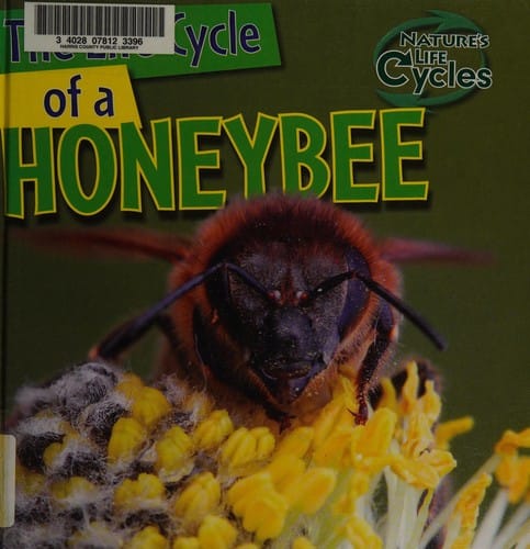 The life cycle of a honeybee