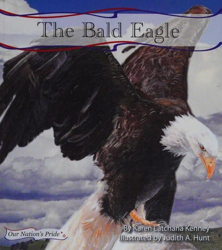 The bald eagle