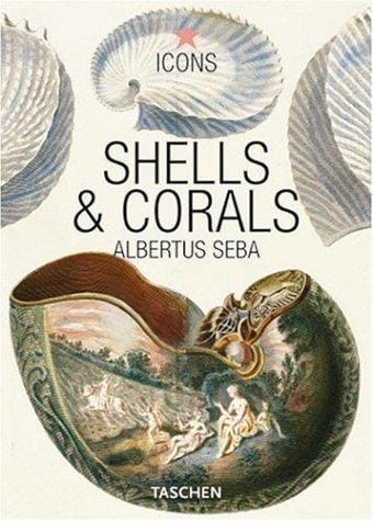 Shells & corals =