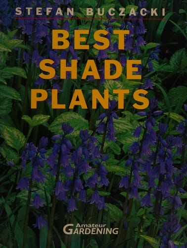 Best shade plants