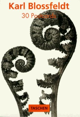 Karl Blossfeldt