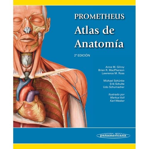 Prometheus : atlas de anatomia - 2. ed.