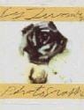 Cy Twombly. Photographien 1951 - 1999