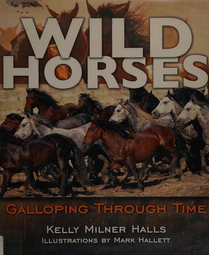 Wild horses