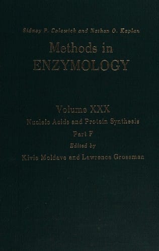 Nucleic acids and protein synthesis