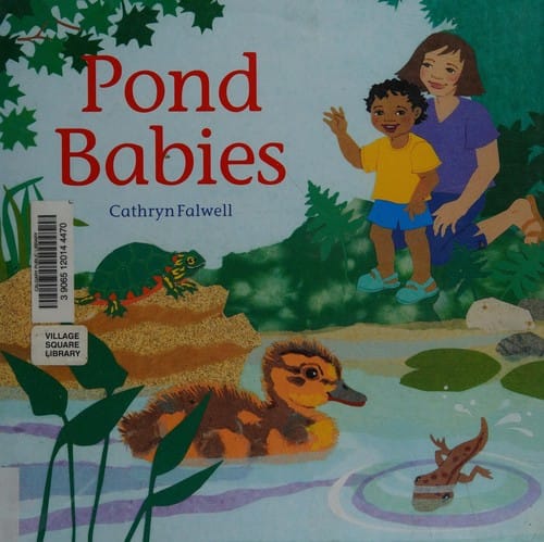 Pond babies
