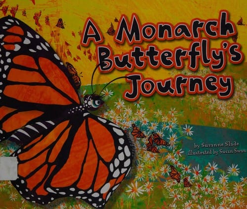 A monarch butterfly's journey