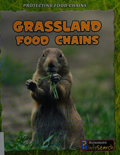 Grassland food chains