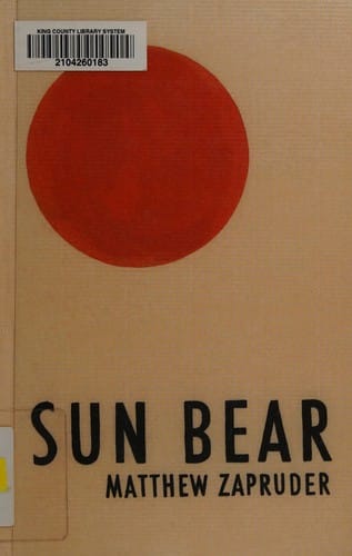 Sun bear