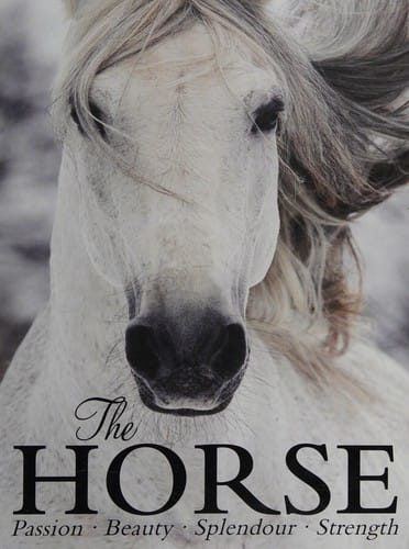 The horse