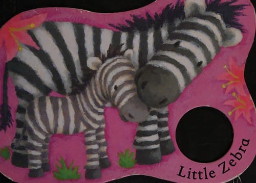 Little zebra