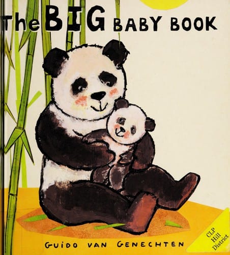 The Big Baby Book