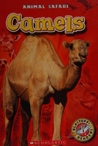 Camels