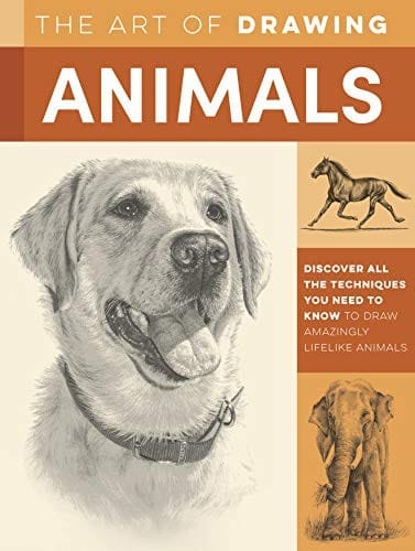The art of drawing animals